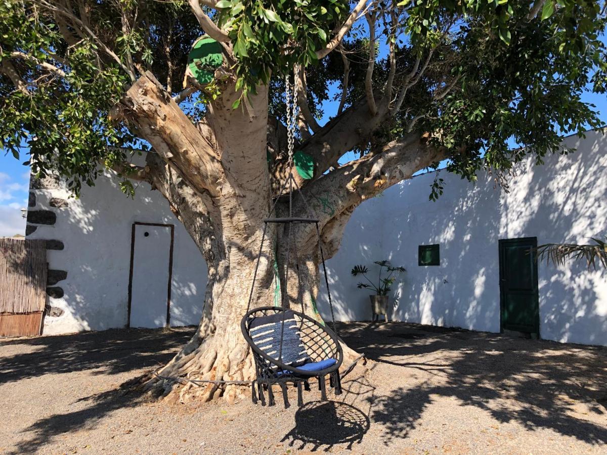 Finca Los Llanitos Guía de Isora Eksteriør billede