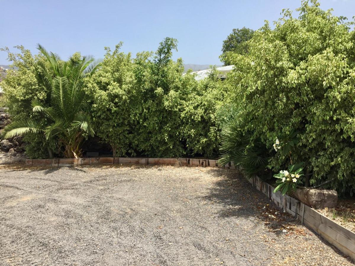 Finca Los Llanitos Guía de Isora Eksteriør billede